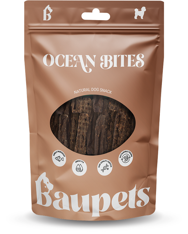 Ocean Bites